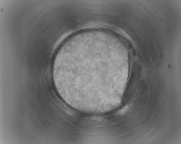 X0000075831216200610061813