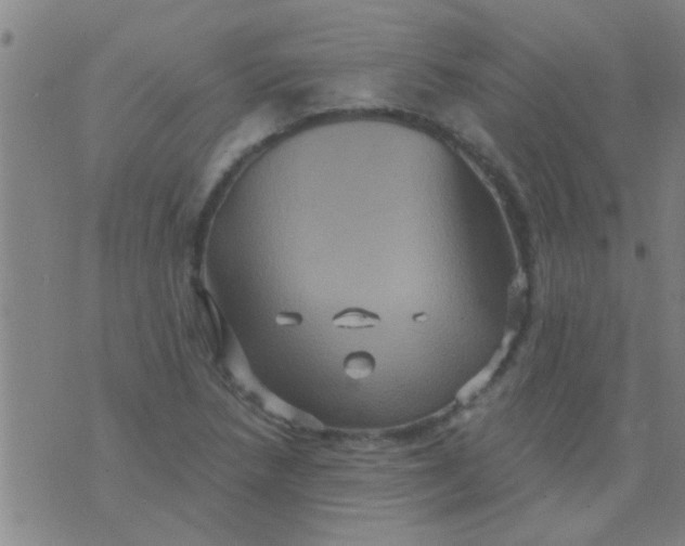 X0000075831218200610061813