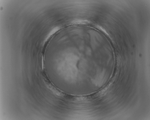 X0000075831219200610061813