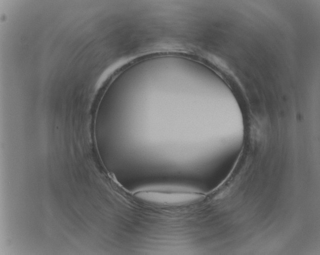 X0000075831222200610061813