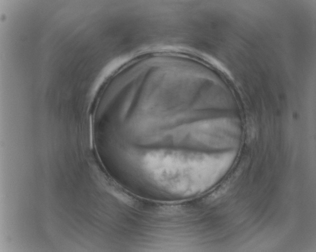 X0000075831223200610061813