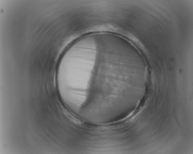 X0000075831224200610061813