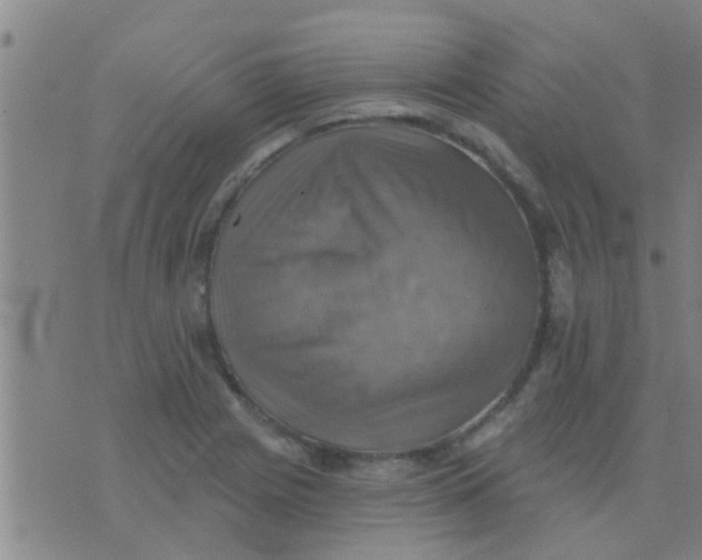 X0000075831225200610061813