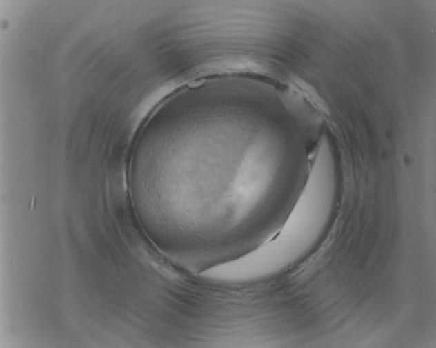 X0000075831226200610061813