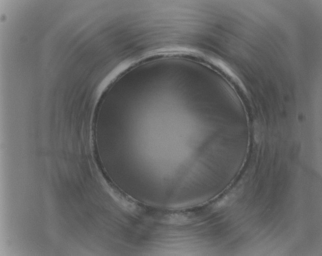 X0000075831229200610061814