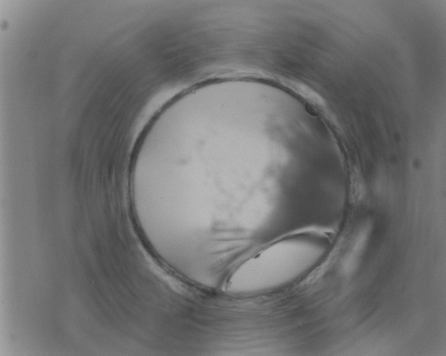 X0000075831231200610061814