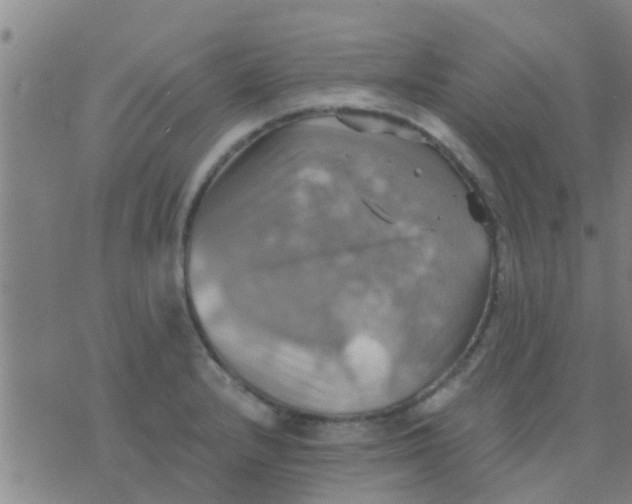 X0000075831232200610061814