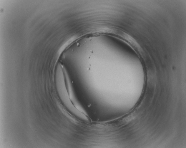 X0000075831234200610061814