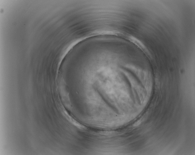 X0000075831236200610061814