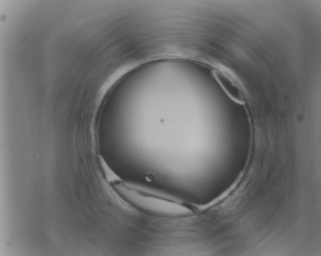 X0000075831238200610061814