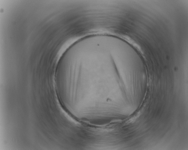 X0000075831239200610061814