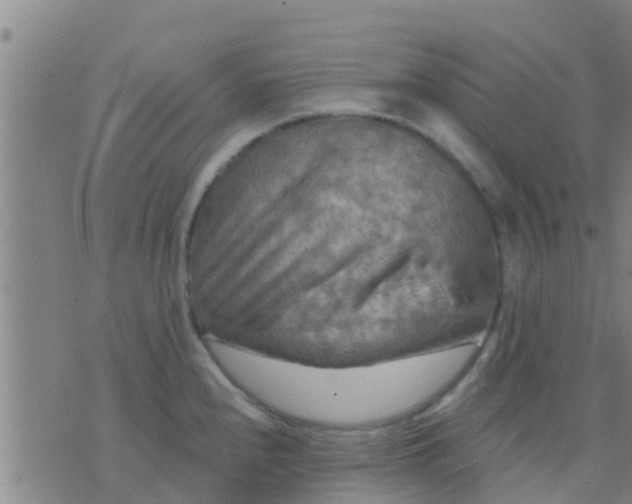 X0000075831240200610061814