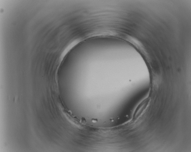 X0000075831242200610061814