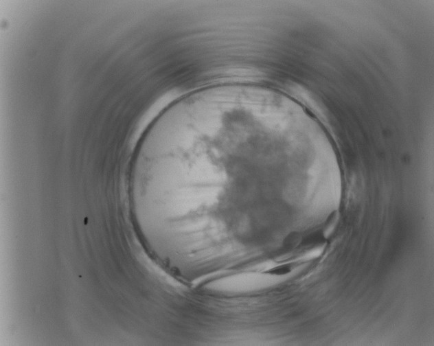 X0000075831243200610061814