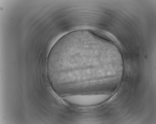 X0000075831244200610061814