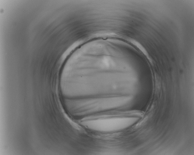 X0000075831245200610061814