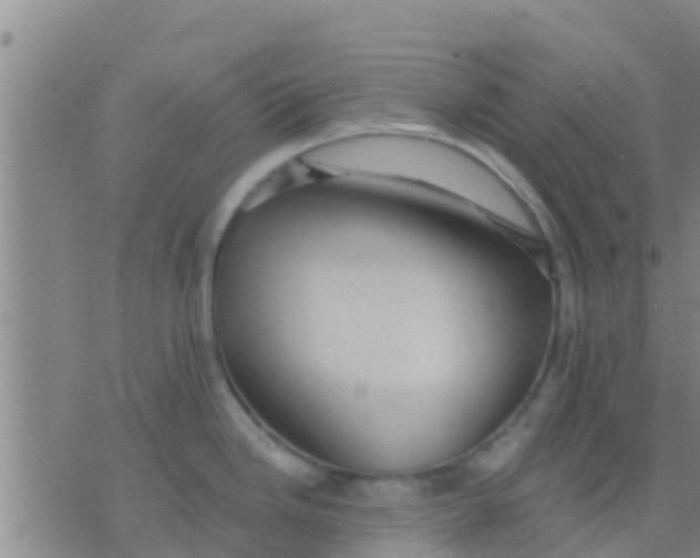 X0000075831246200610061814