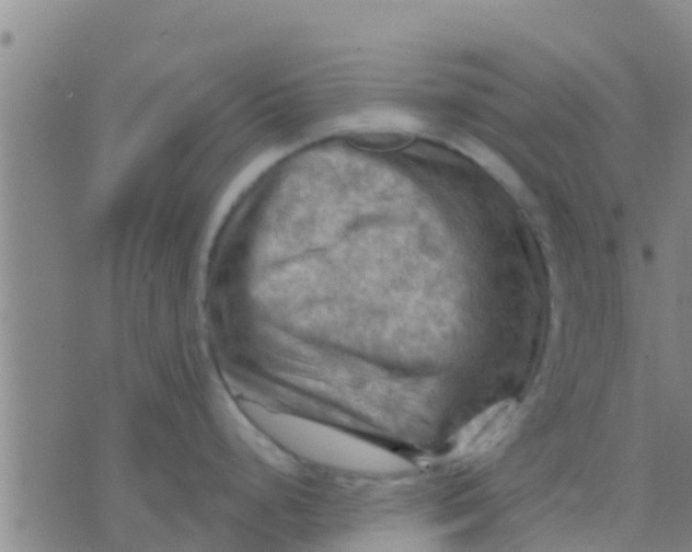 X0000075831248200610061814