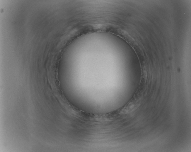 X0000075831249200610061813