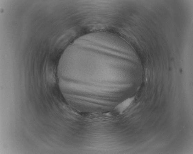 X0000075831250200610061813