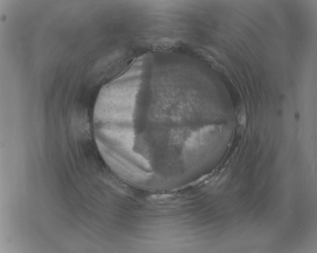 X0000075831252200610061813