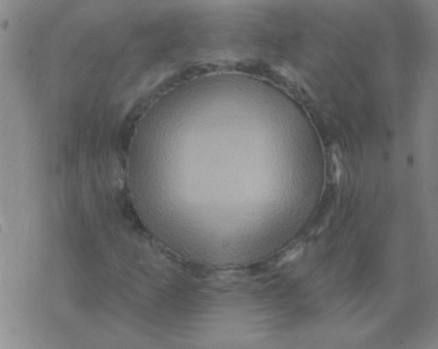 X0000075831253200610061813