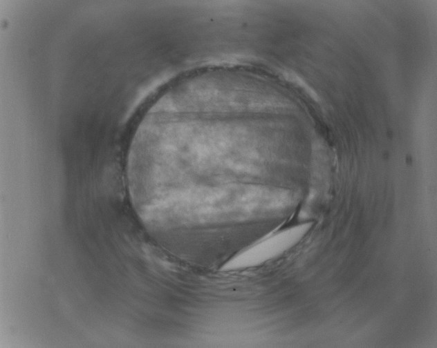 X0000075831256200610061813