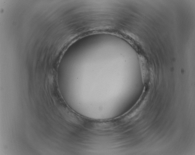 X0000075831257200610061813