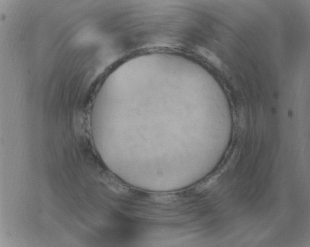 X0000075831258200610061813