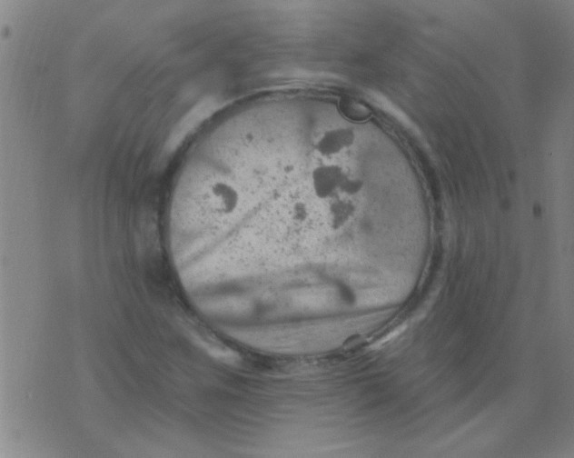 X0000075831259200610061813