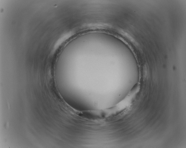 X0000075831261200610061813