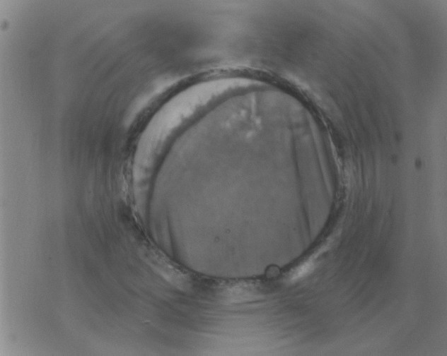 X0000075831262200610061813