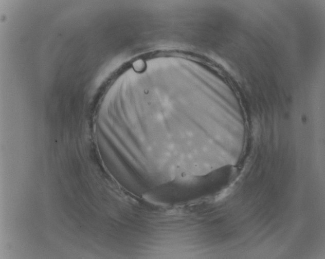 X0000075831263200610061813