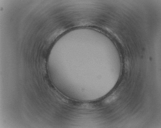 X0000075831265200610061813