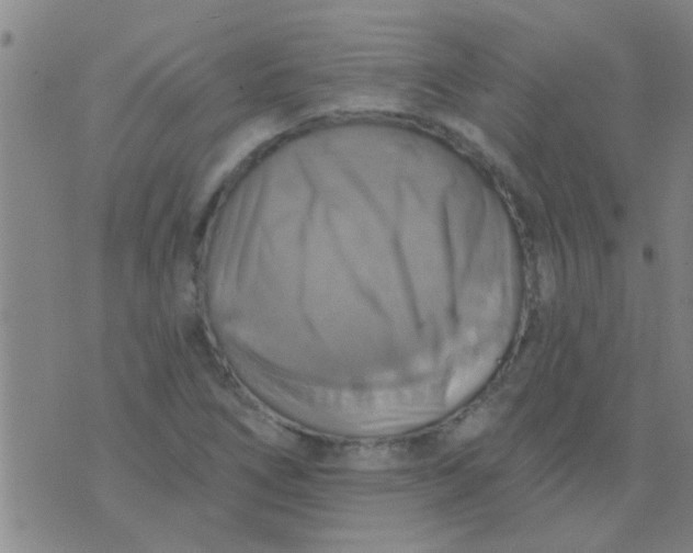 X0000075831266200610061813