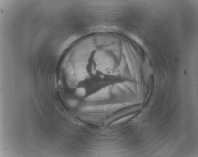 X0000075831267200610061813