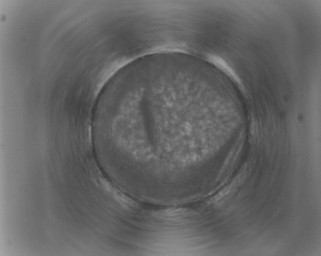 X0000075831268200610061813