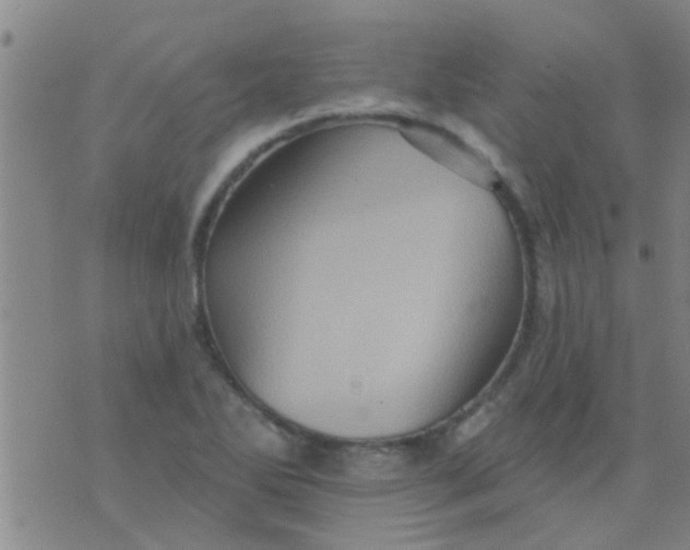 X0000075831270200610061813