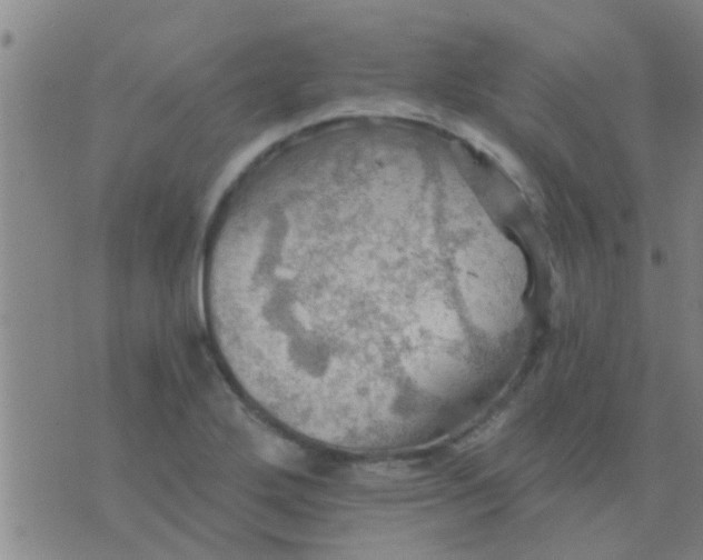 X0000075831272200610061813