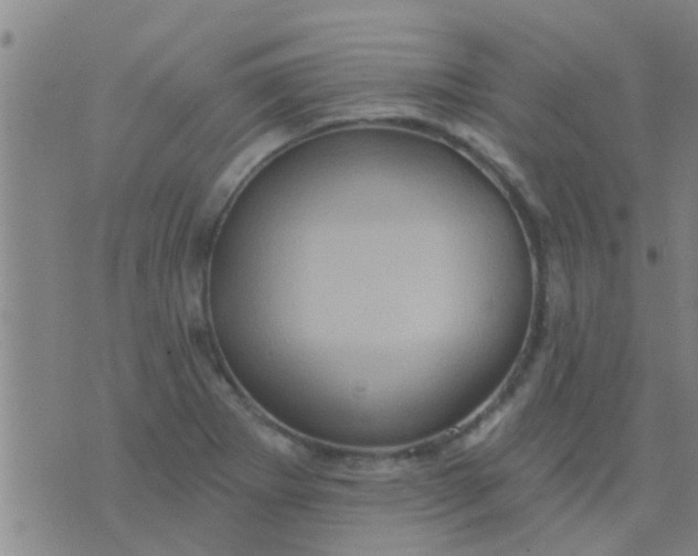 X0000075831273200610061813