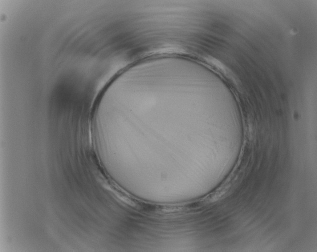 X0000075831274200610061813