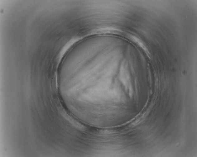 X0000075831275200610061813