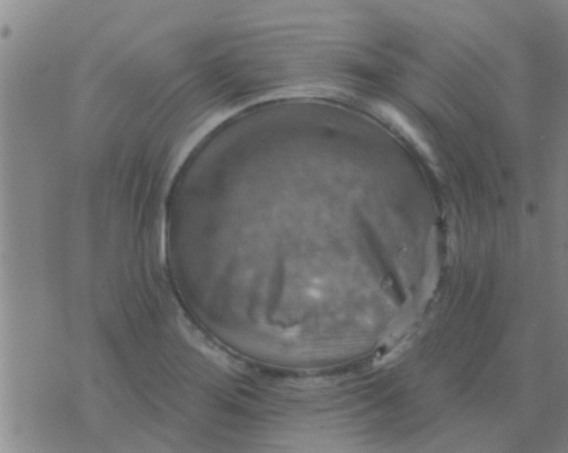 X0000075831276200610061813