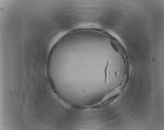 X0000075831277200610061813