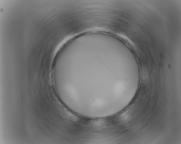 X0000075831278200610061813