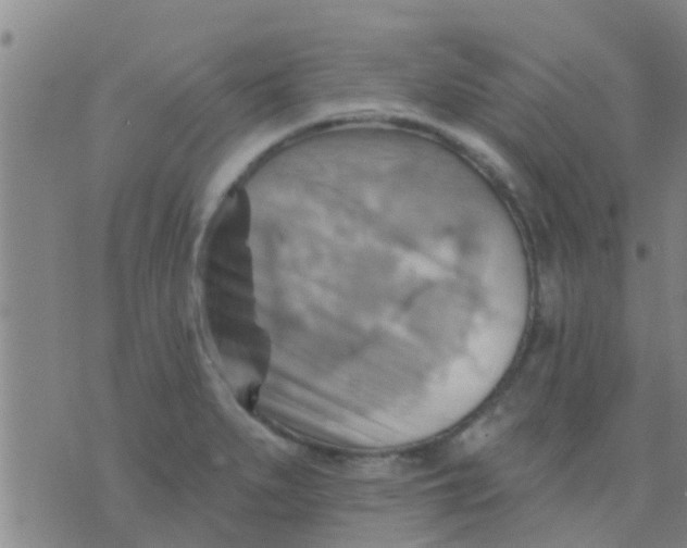 X0000075831279200610061813