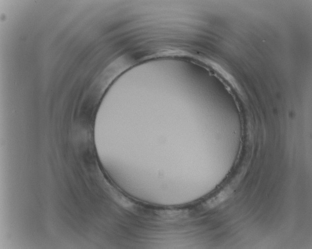 X0000075831281200610061813