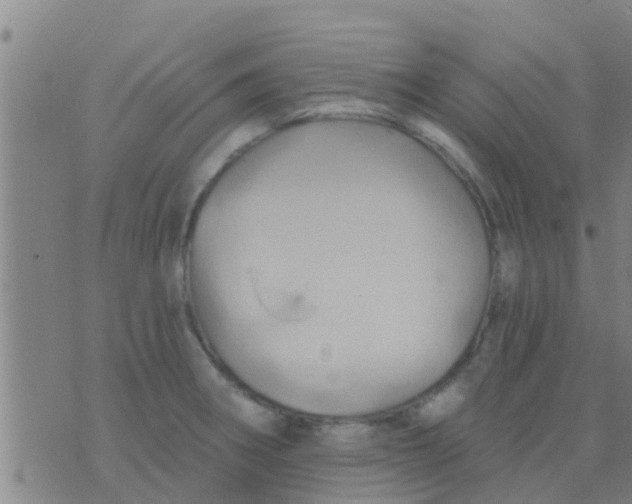 X0000075831282200610061813