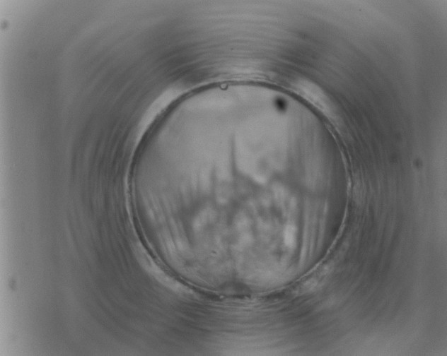 X0000075831283200610061813