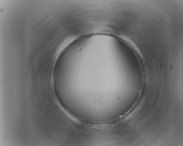 X0000075831285200610061812